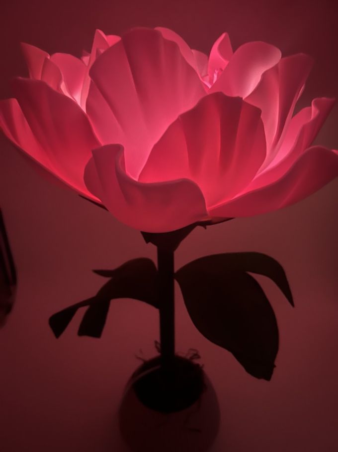 Декоративна лампа «Піон»