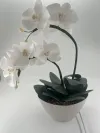Декоративна лампа Орхідея