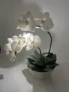 Декоративна лампа Орхідея