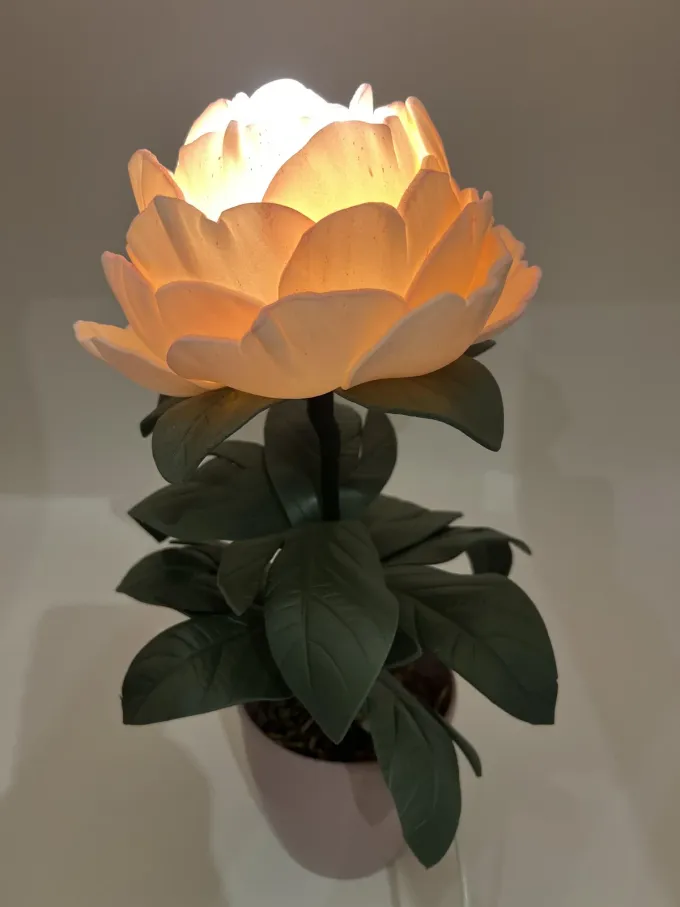 Декоративна лампа Півонія (маленька)