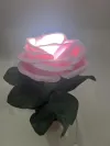 Декоративна лампа Троянда (маленька) 