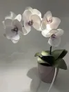 Декортивна лампа Орхідея на одну гілочку
