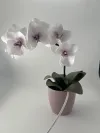 Декортивна лампа Орхідея на одну гілочку