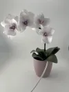 Декортивна лампа Орхідея на одну гілочку