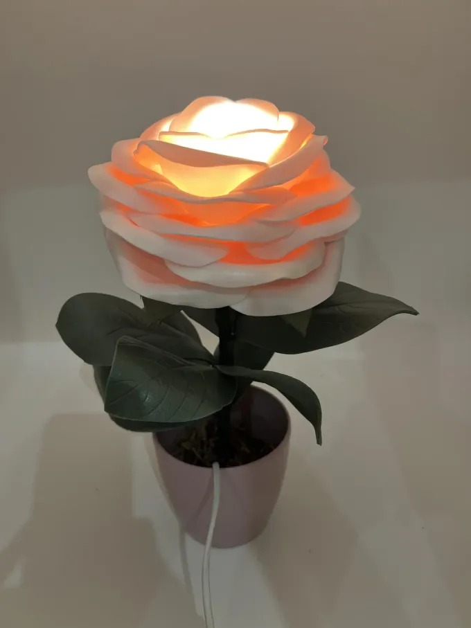 Декоративна лампа Троянда в пудровому кольорі