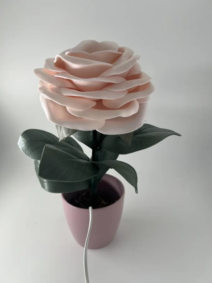 Декоративна лампа Троянда в пудровому кольорі