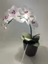 Декортивна лампа Орхідея на одну гілочку с лавндовою серединкою
