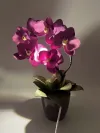 Світильник Орхідея в кольорі фуксія