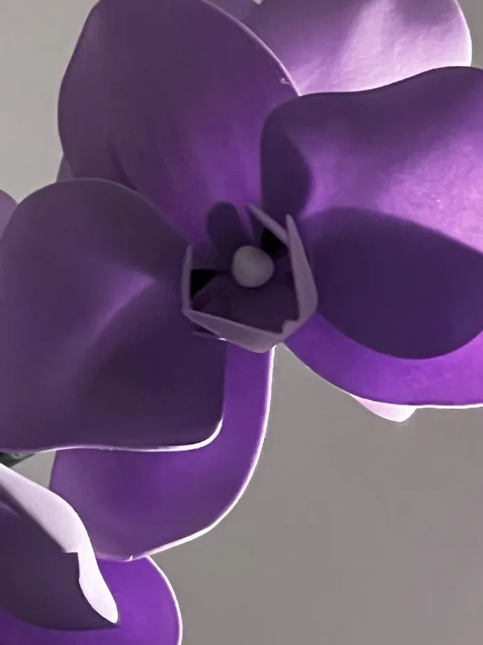 Світильник Орхідея в лавандовому кольорі