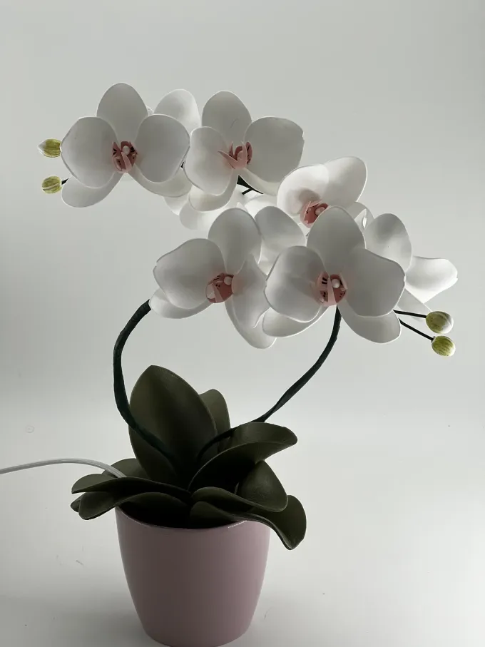 Світильник Орхідея на дві гілочки