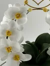 Копмозиція з орхідей
