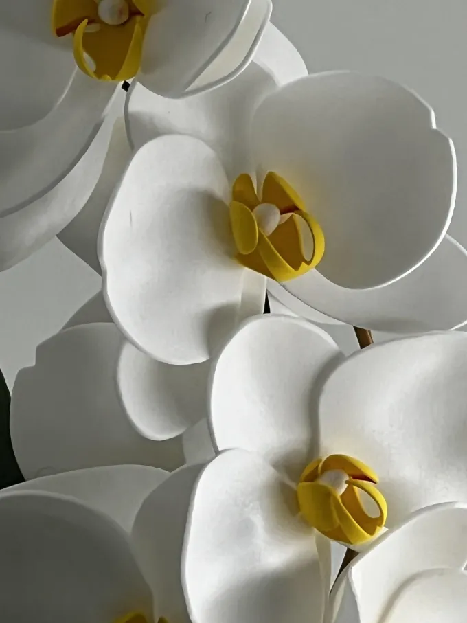 Копмозиція з орхідей