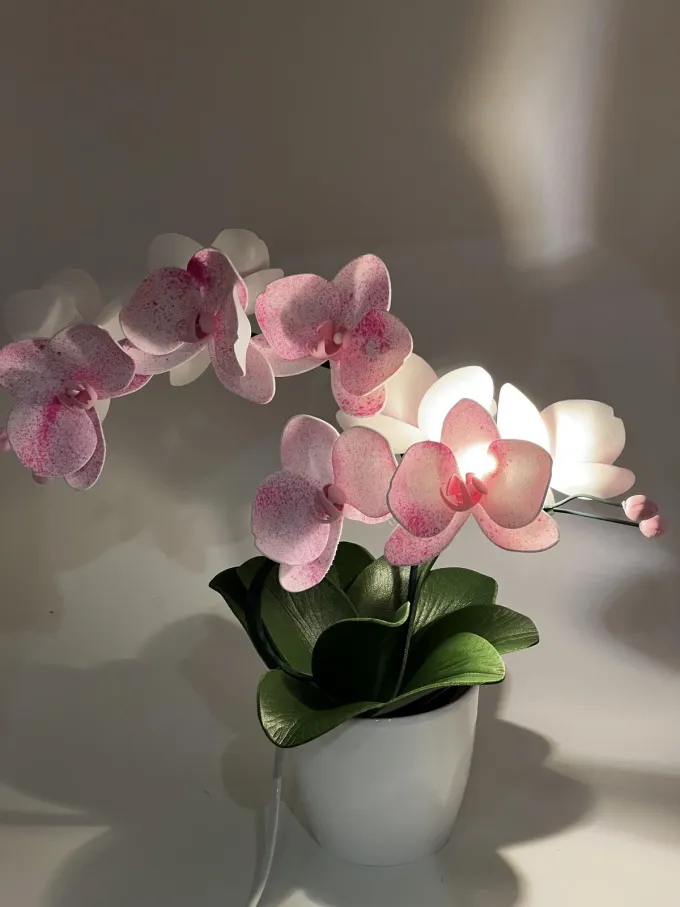 Світильнк Орхідея на двігілочки з новим тонуванням