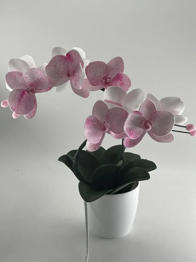 Світильнк Орхідея на двігілочки з новим тонуванням