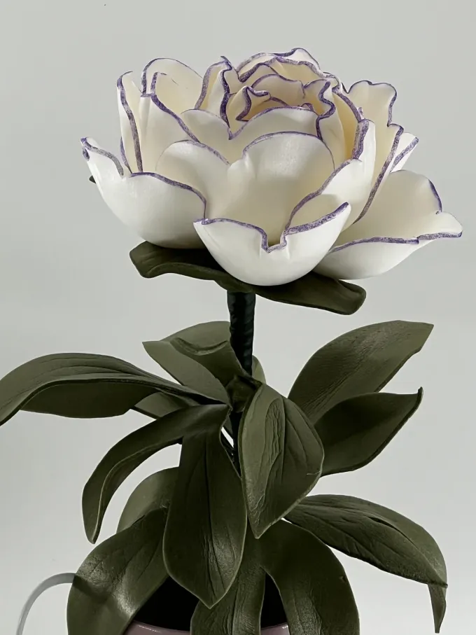 Світильник Півонія в білому кольорі з тонуванням